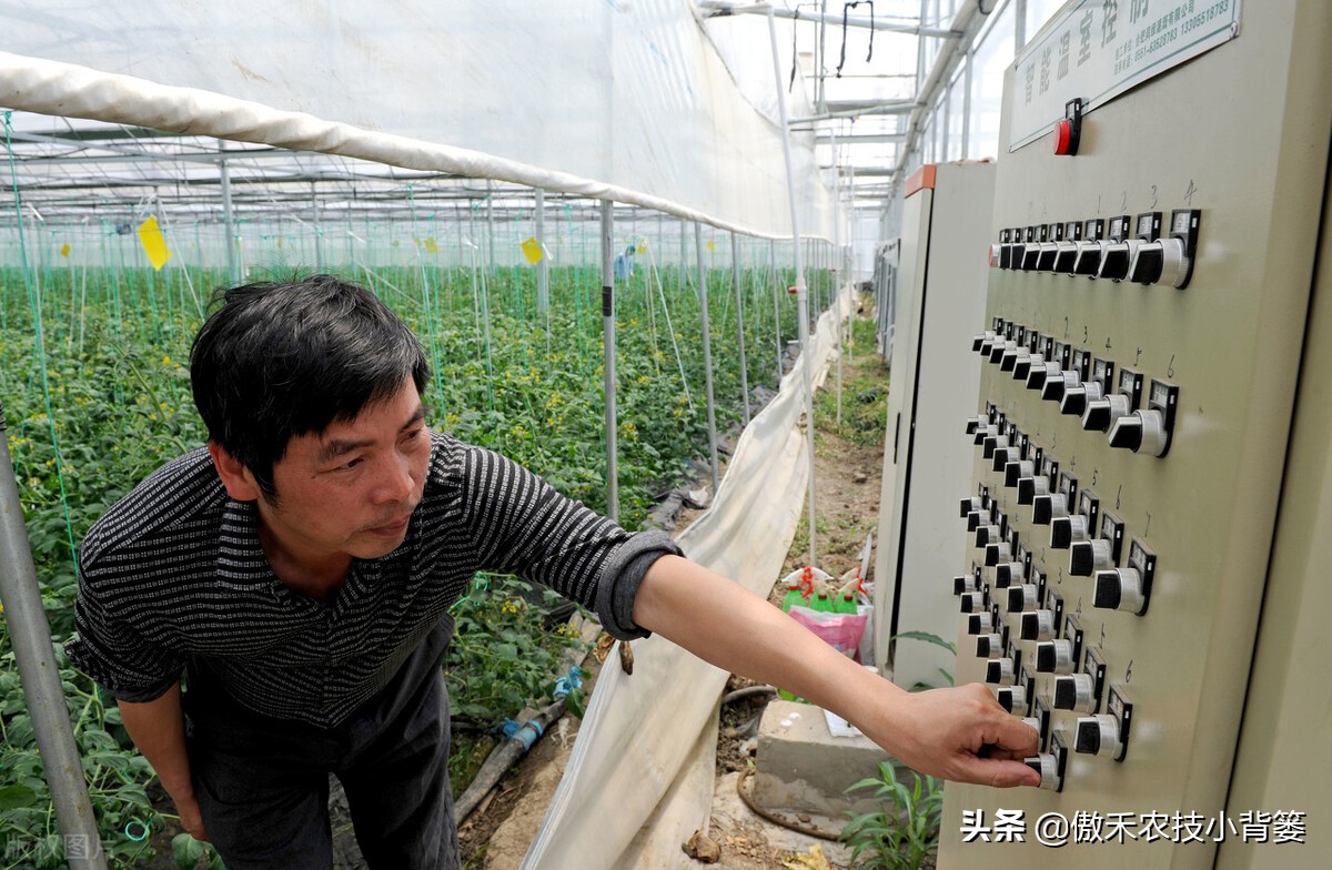 腐植酸氨基酸鱼蛋白肥料哪个更好,有机质肥料腐植酸海藻酸成分高吗
