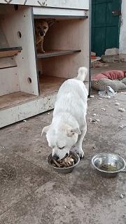 穿恨天高坐地铁的社死现场，两位男士都不忍看这次“崴脚表演”