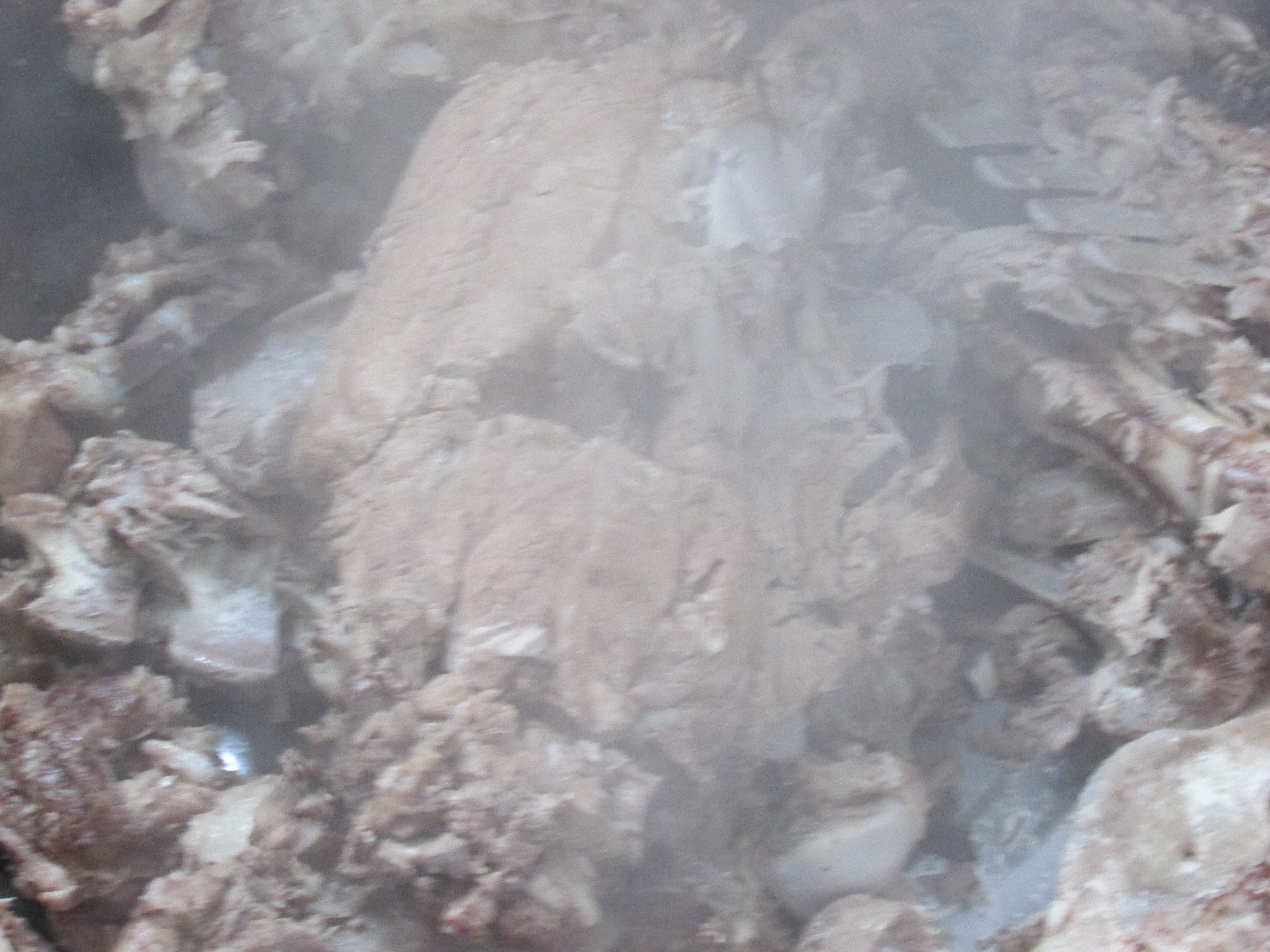 东北杀年猪来吃猪肉,老东北杀年猪