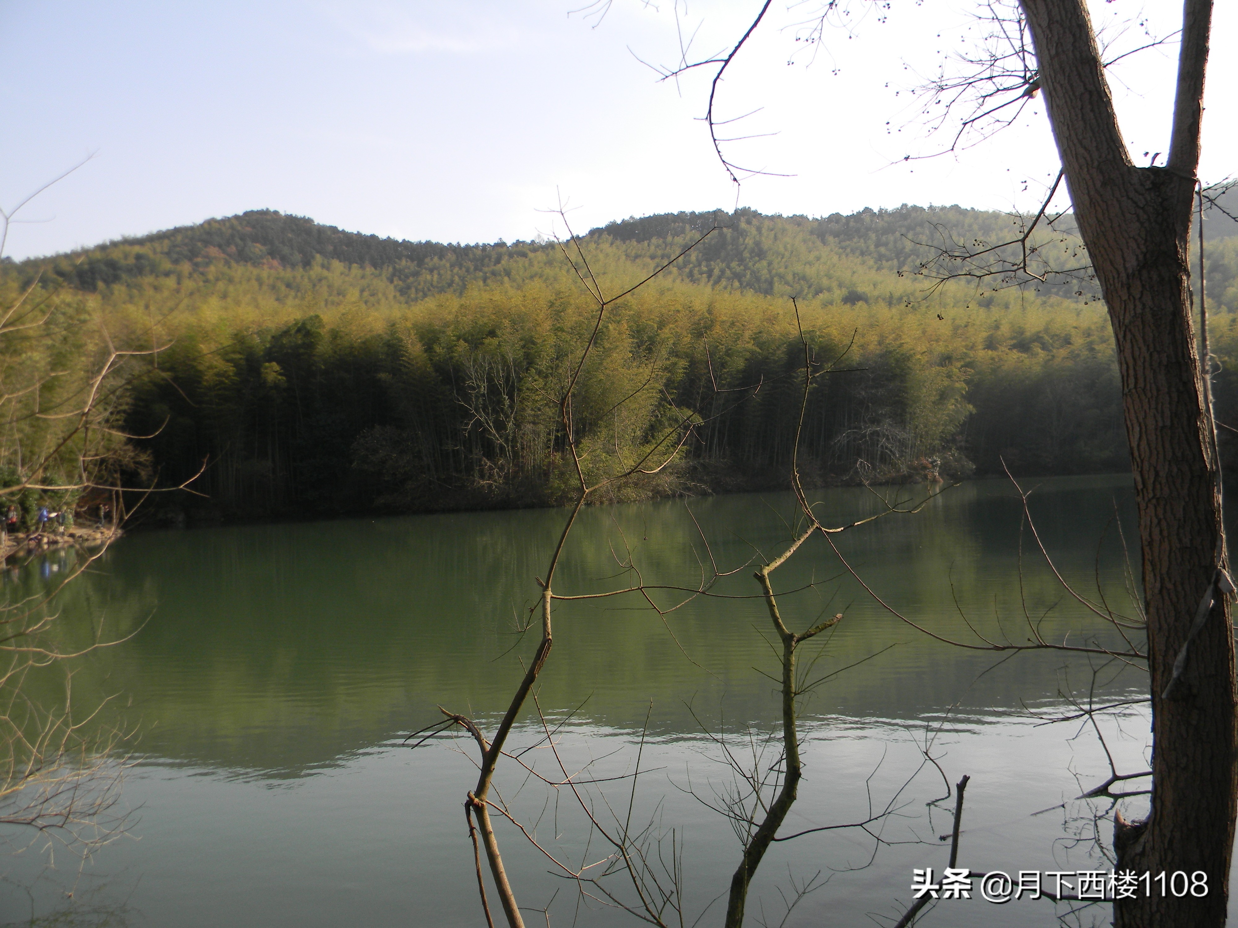 江苏南山竹海天然氧吧,南京石塘竹海风景区开放了吗