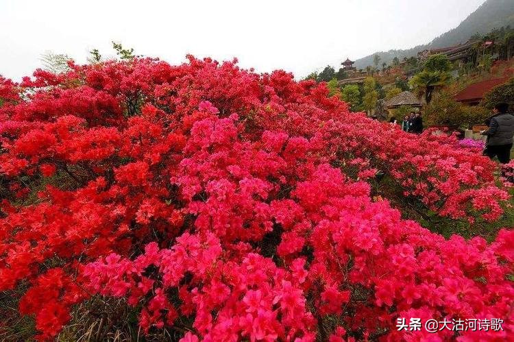 致敬中国英烈诗词,纪念先辈缅怀英烈的诗句