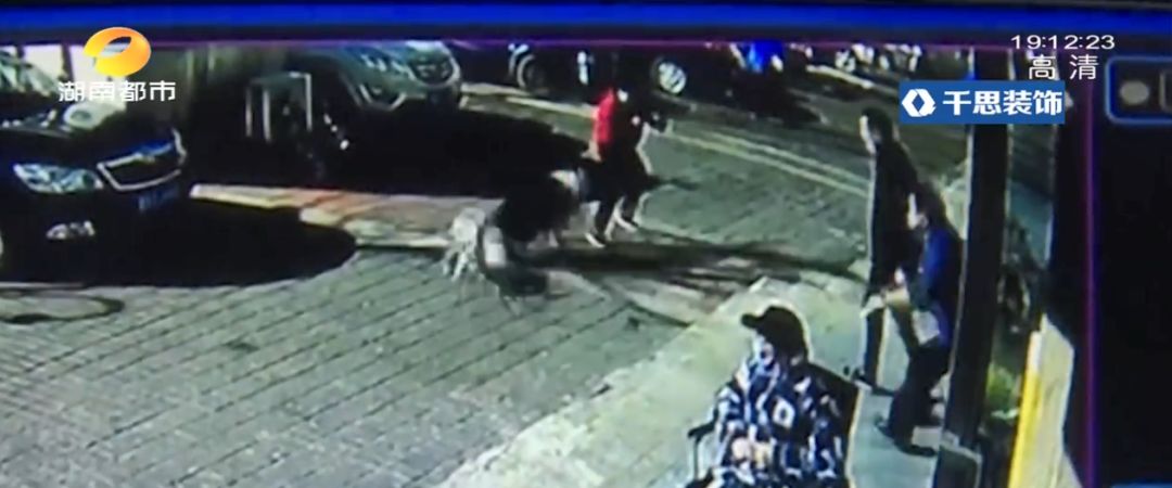 湖南长沙狗不拴绳撞到路人,长沙女子遛狗不牵绳被金毛咬后续