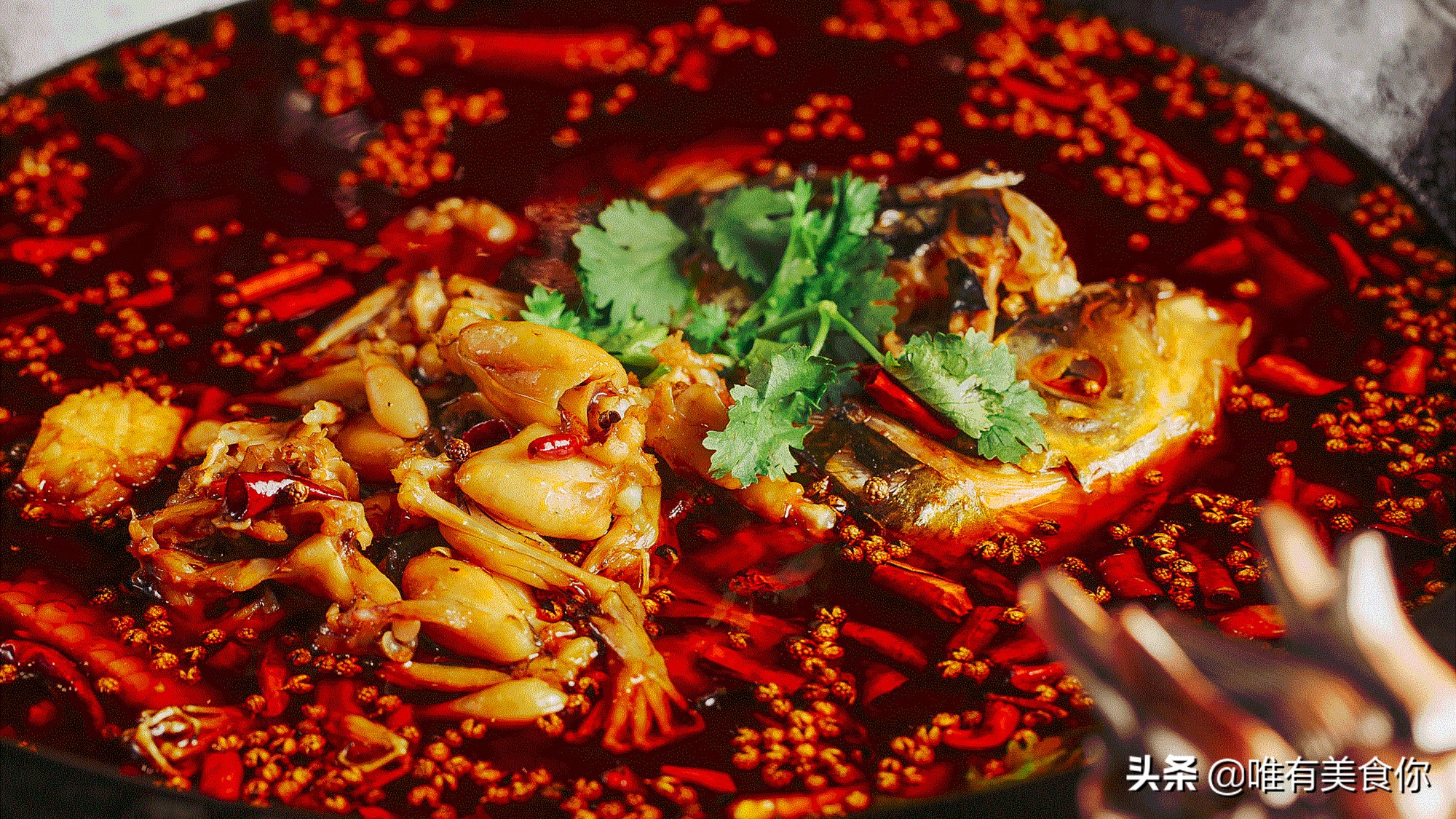 特点美蛙鱼底料是什么,美蛙鱼头火锅底料制作配方