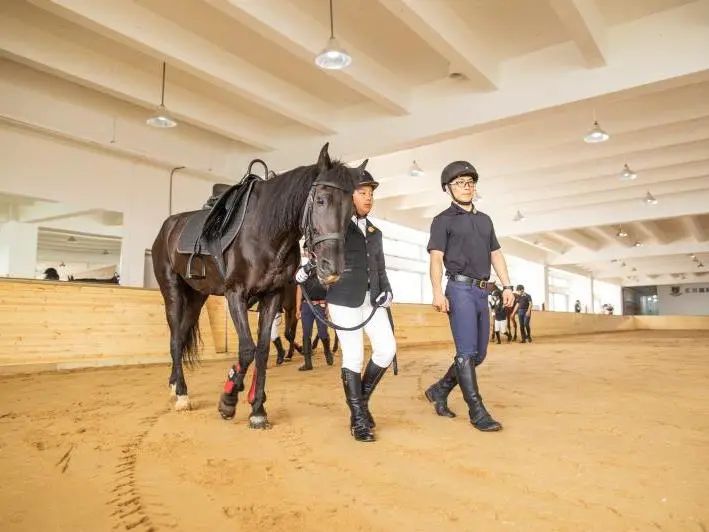 金山区全民健身日,全民健身日天津