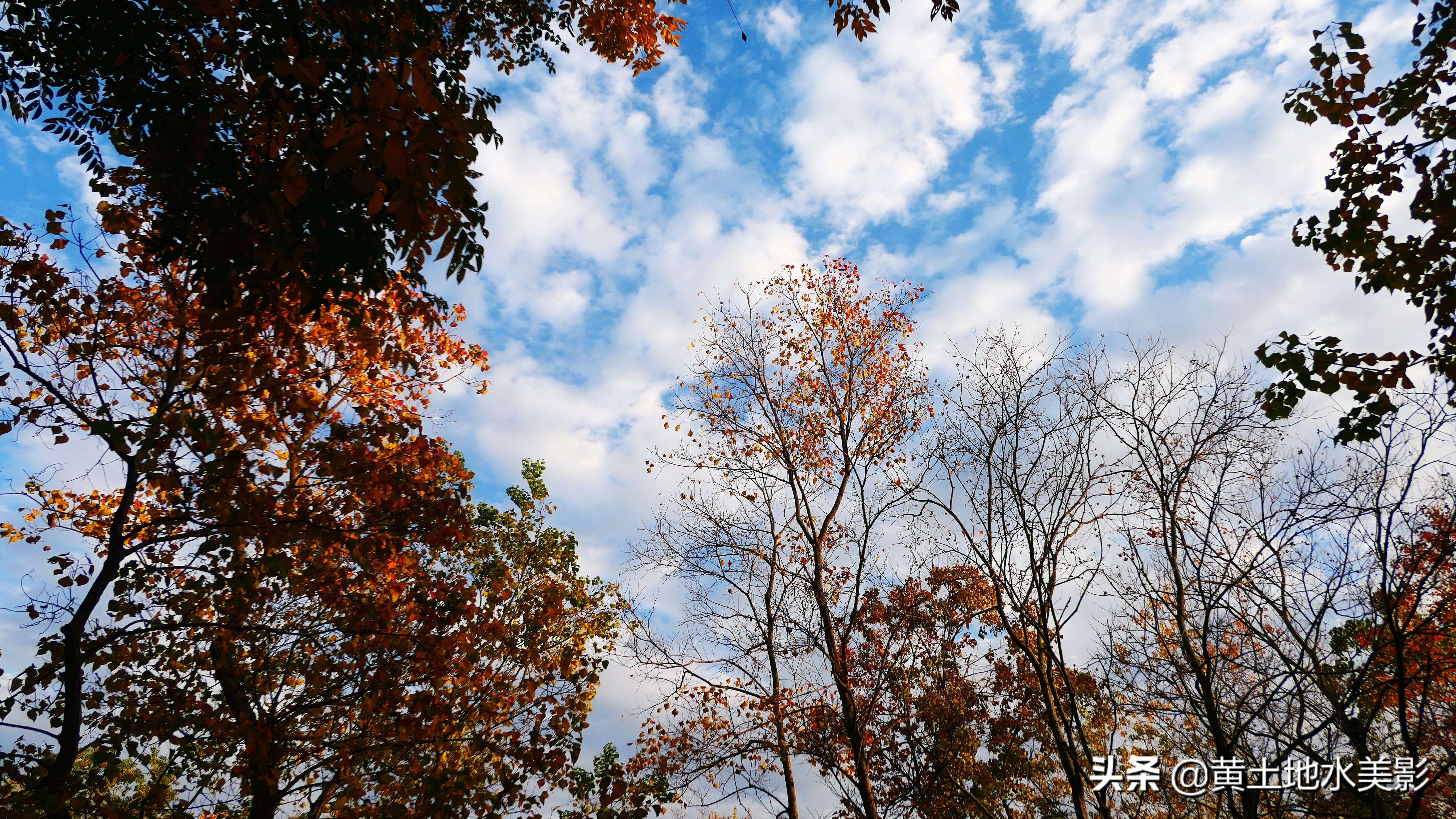免费游玩东湖公园攻略,免费湿地公园游乐景点