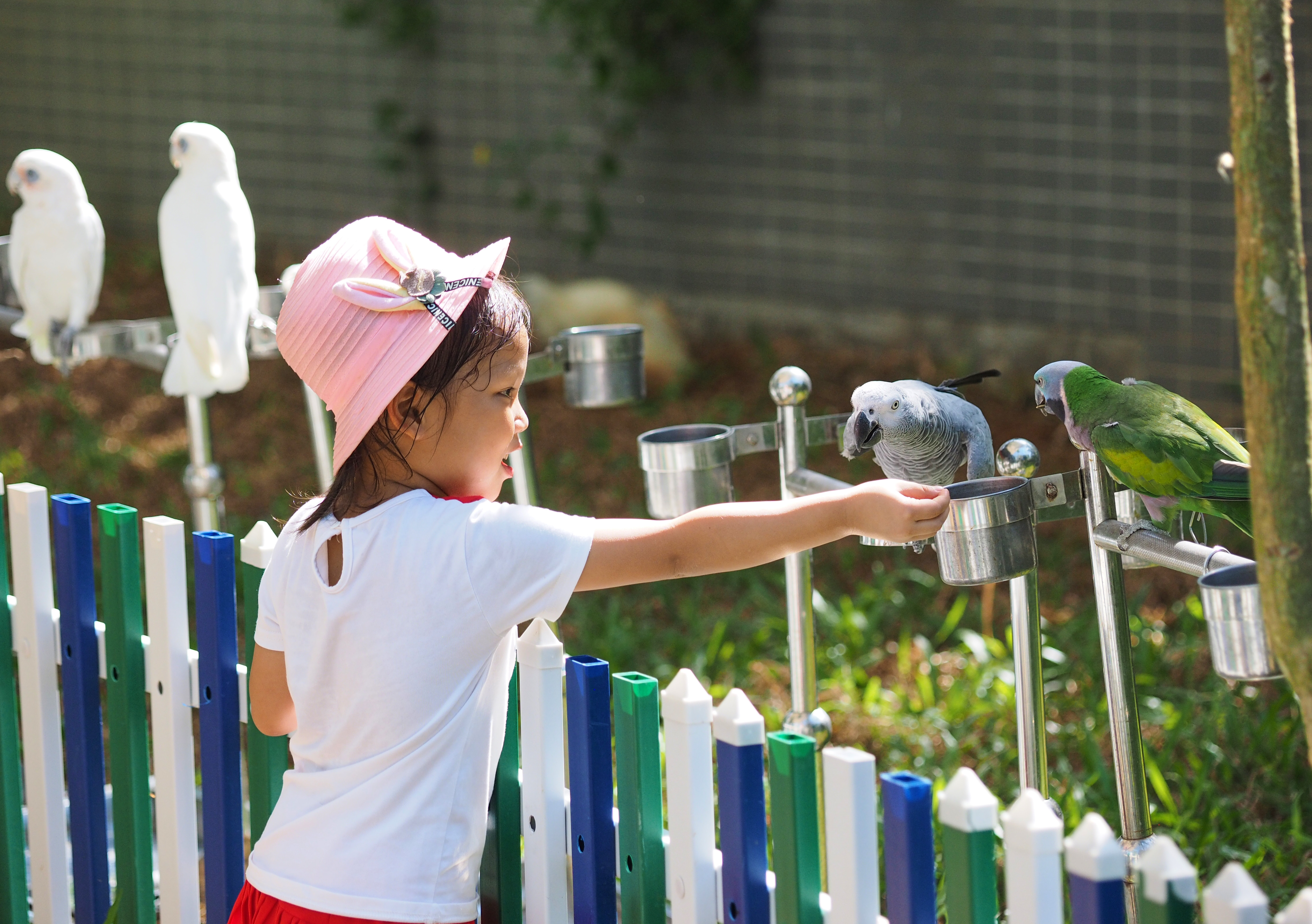 定安活力游玩,定安旅游