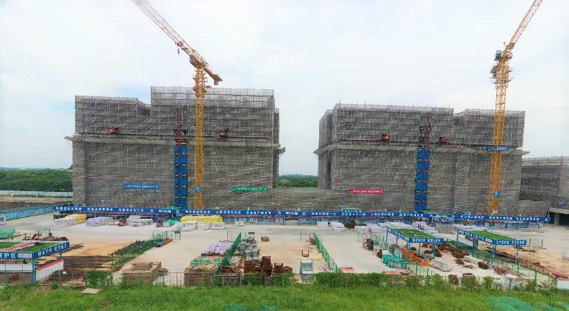 大局已定完整版视频,大局已定在线免费看