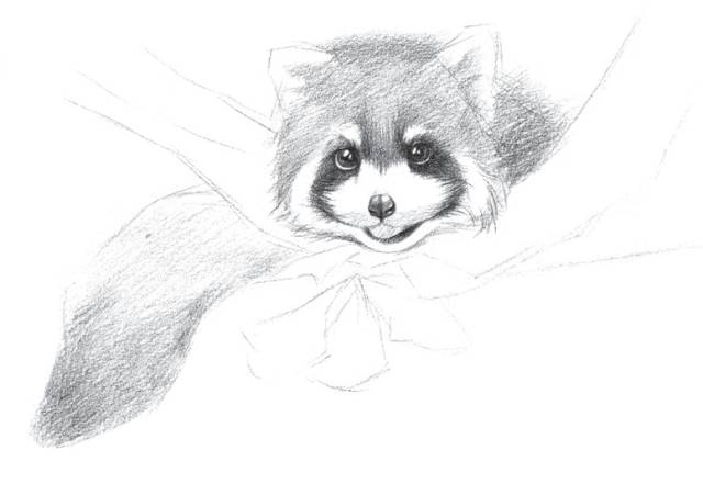 怎么画戴着红领巾的小熊猫,画一只小奶猫超级简单