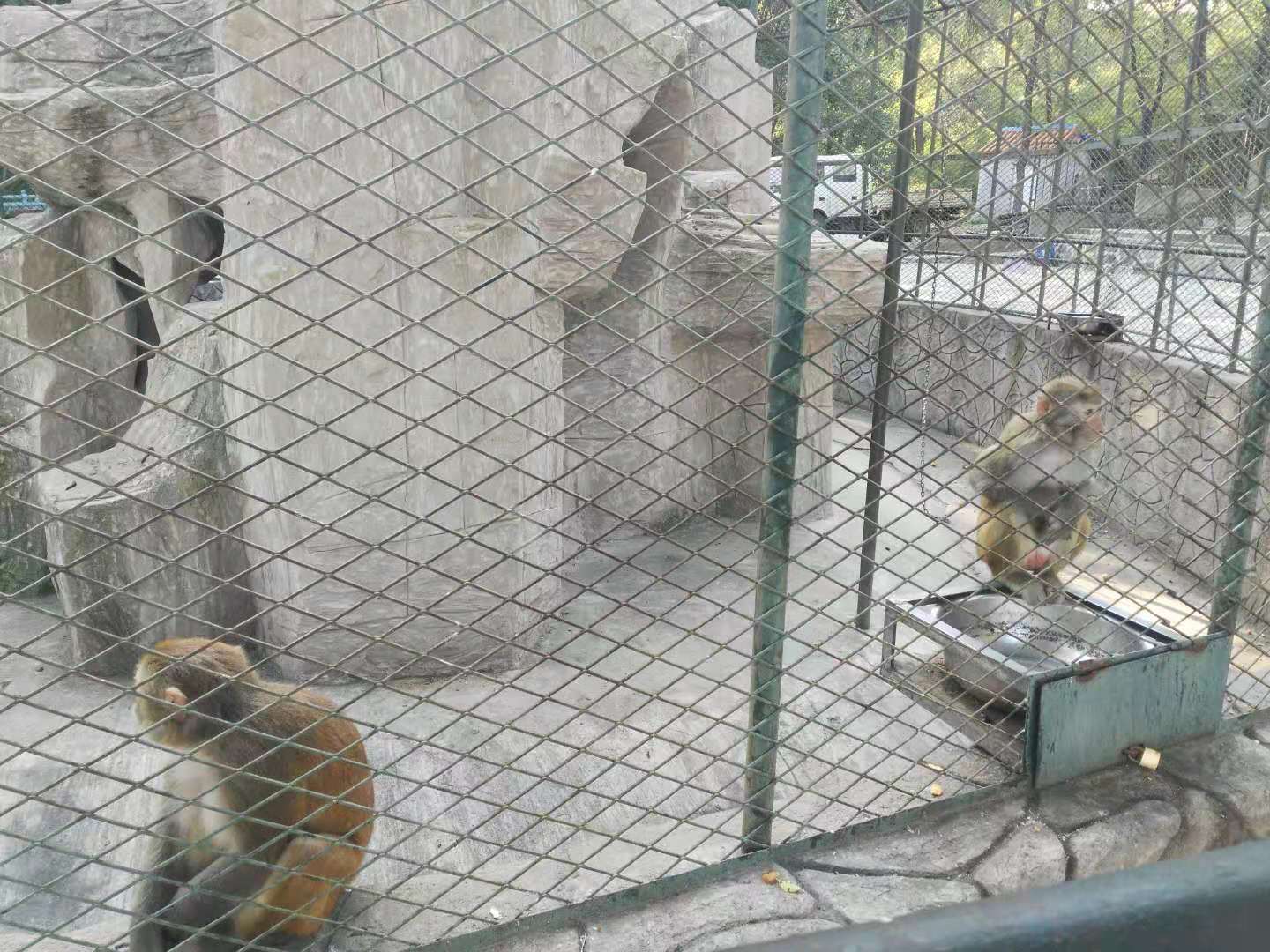 最好爬、闹市区、景色奇、有野猴—野游户外-5