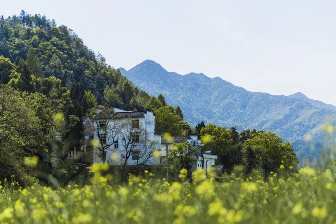 四月去哪儿旅游风景好看,三月旅游地推荐莫辜负迷人春色