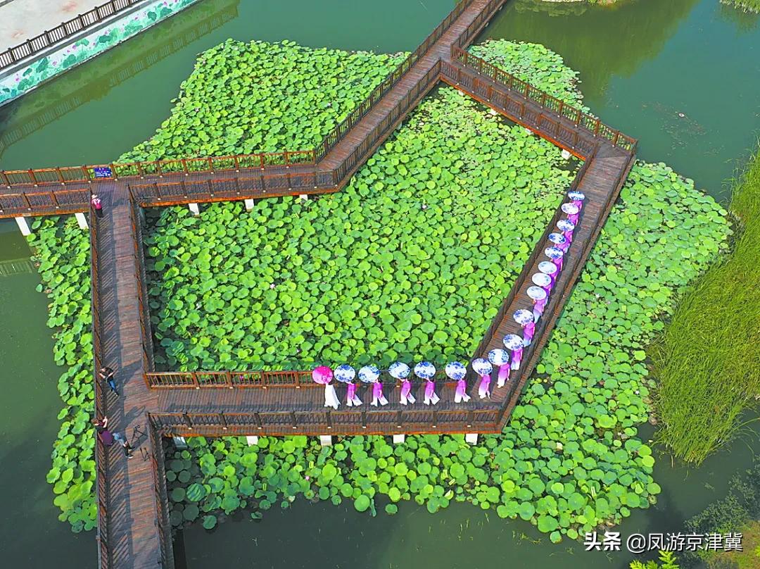 河北省保定区号0310,0312是哪个城市的区号