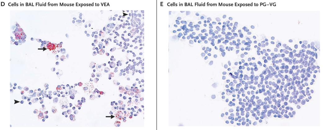 加热对维生素e的影响,维生素e加热的后果