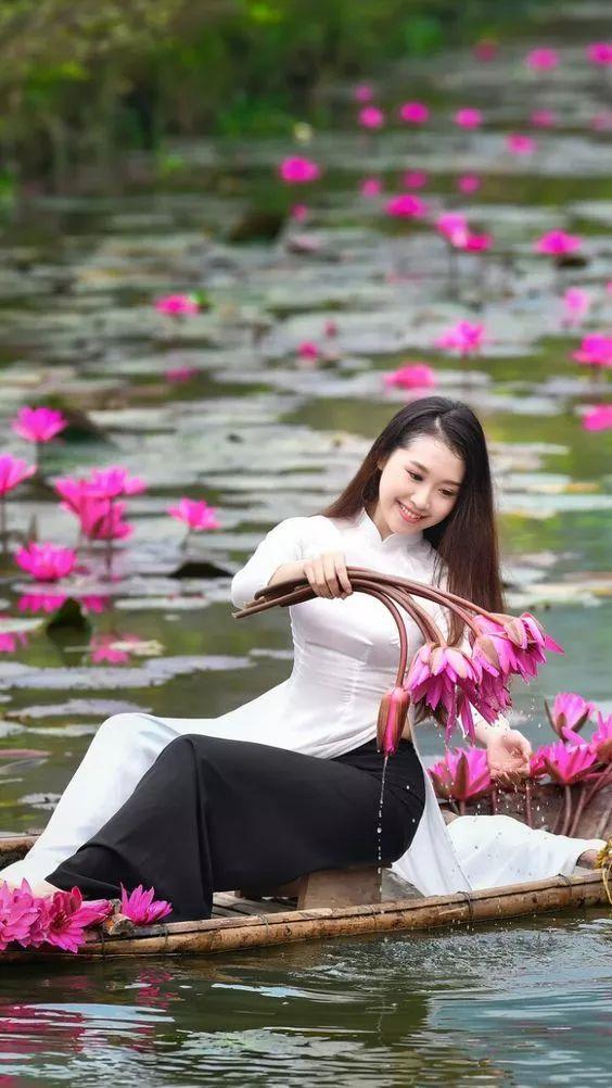 出淤泥而不染荷花之美,如果你是一朵出淤泥而不染的荷花