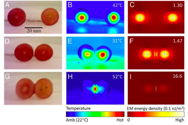 一颗葡萄放微波炉里加热会爆炸吗,微波炉加热葡萄为什么会爆炸