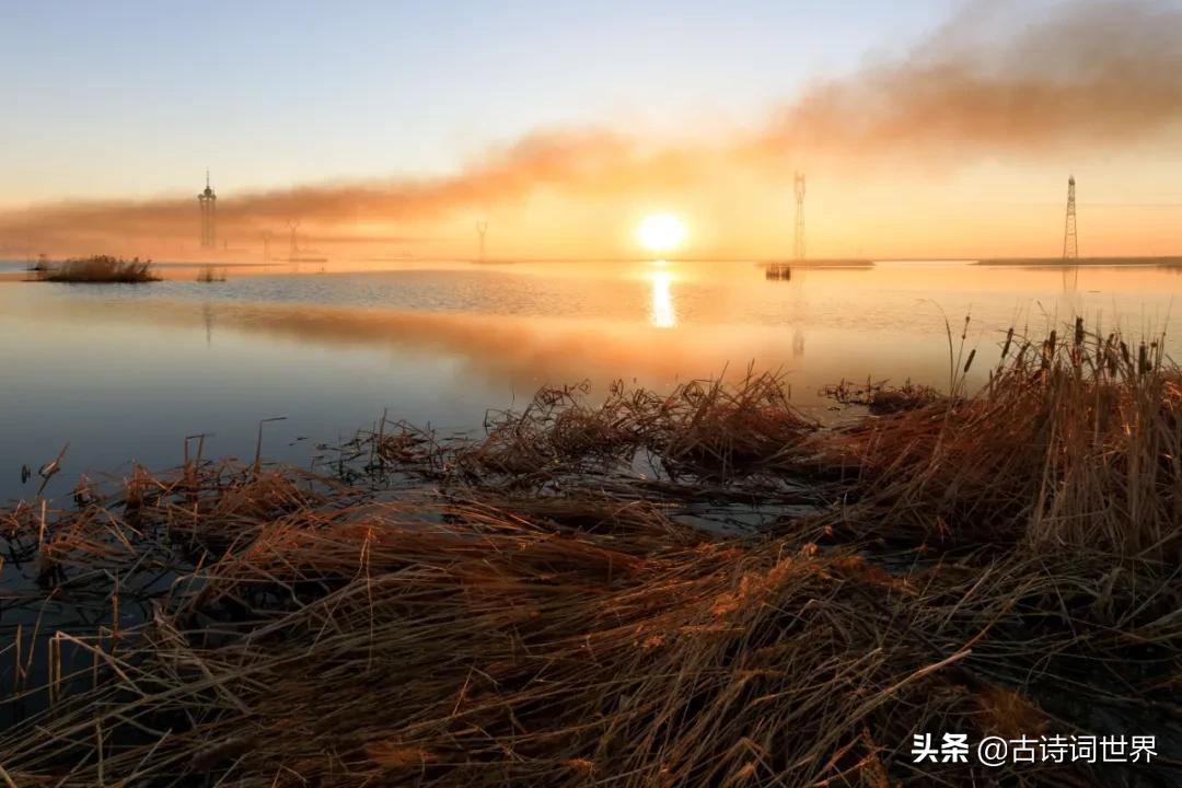 74个易错冷成语你用对了多少,你必须知道的100个易错成语