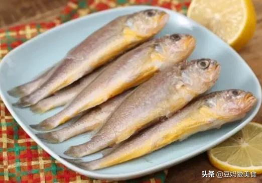 没办法人工养殖的五种鱼,人工养殖最好的三种鱼