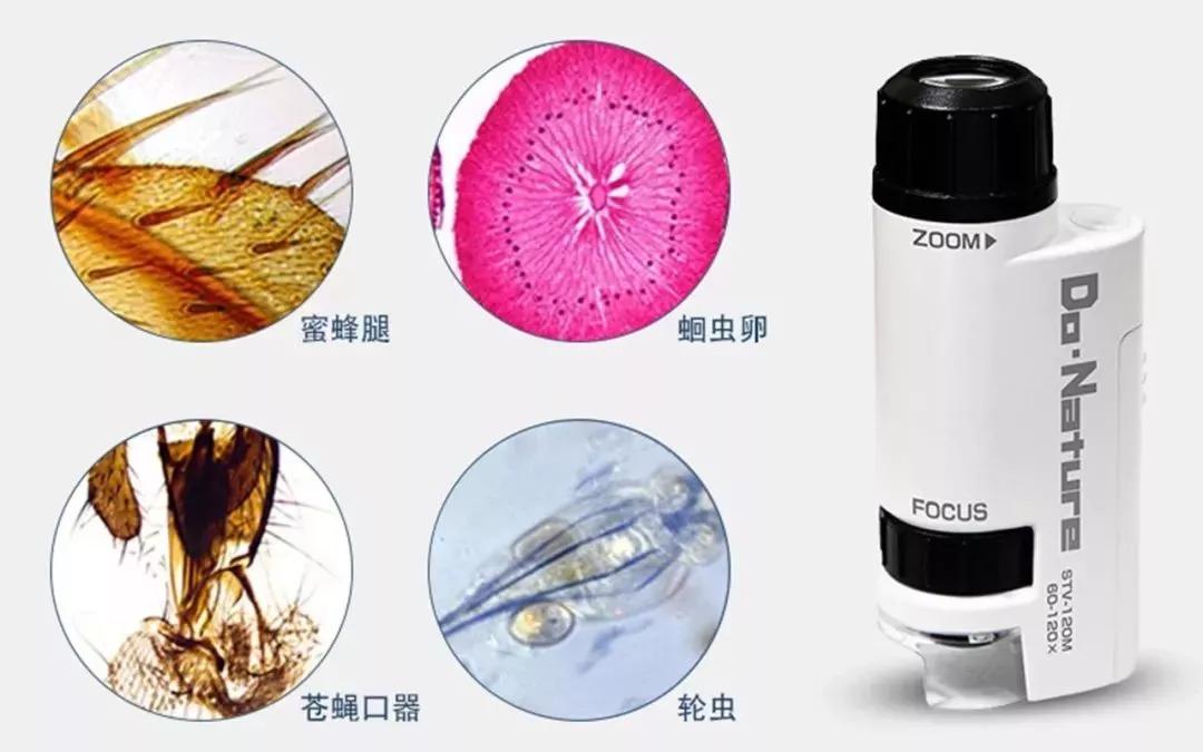 儿童显微镜下的微观世界,便携式儿童显微镜萌趣多