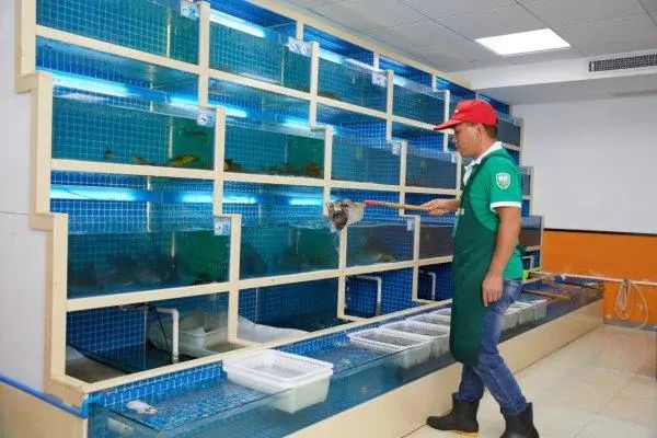 叮咚买菜直聘上海区域分拣员,叮咚买菜苏州分拣招聘最新