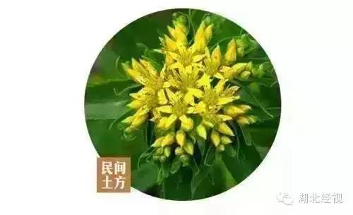 敌敌畏去头虱,敌敌畏杀头虱