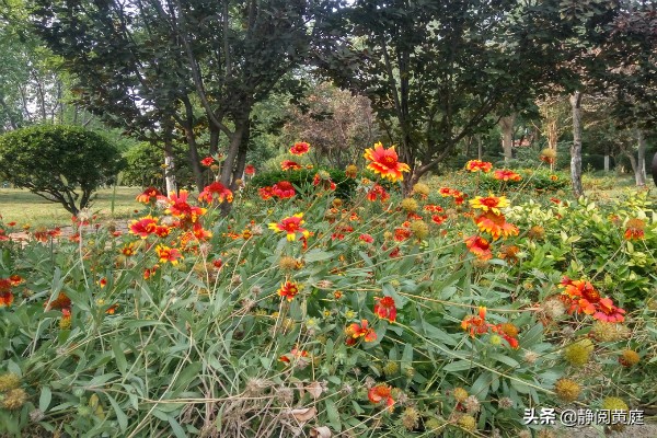 一首唐诗一阵风，不仅送来春花烂漫与黄叶飘飘，还驱散了所有阴霾
