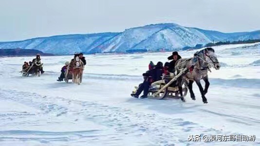 漠河极寒之旅,漠河遇到熊