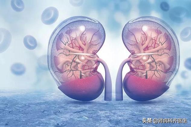 中医血尿与尿血的鉴别要点,尿潜血常见知识