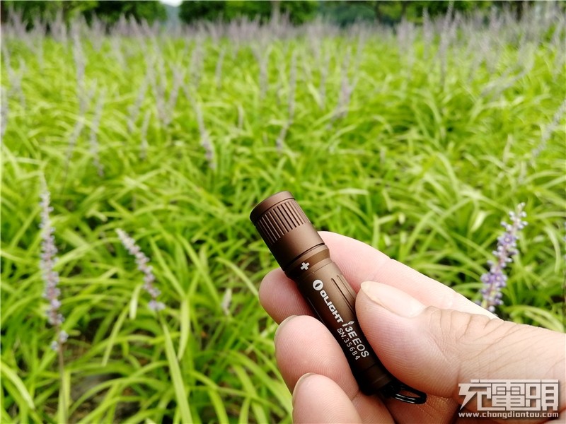 aaa手电筒推荐,aaa手电测评