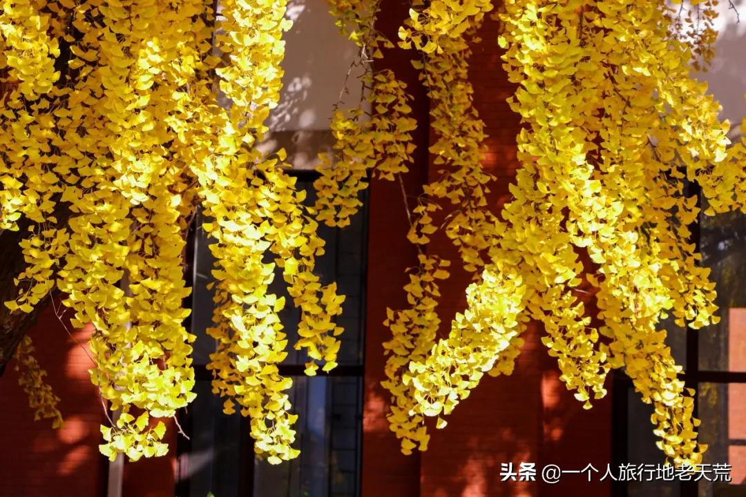 大连最浪漫的十个地方,大连浪漫景色