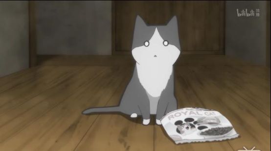 最萌新番,豆瓣8.8最佳纪录片女主