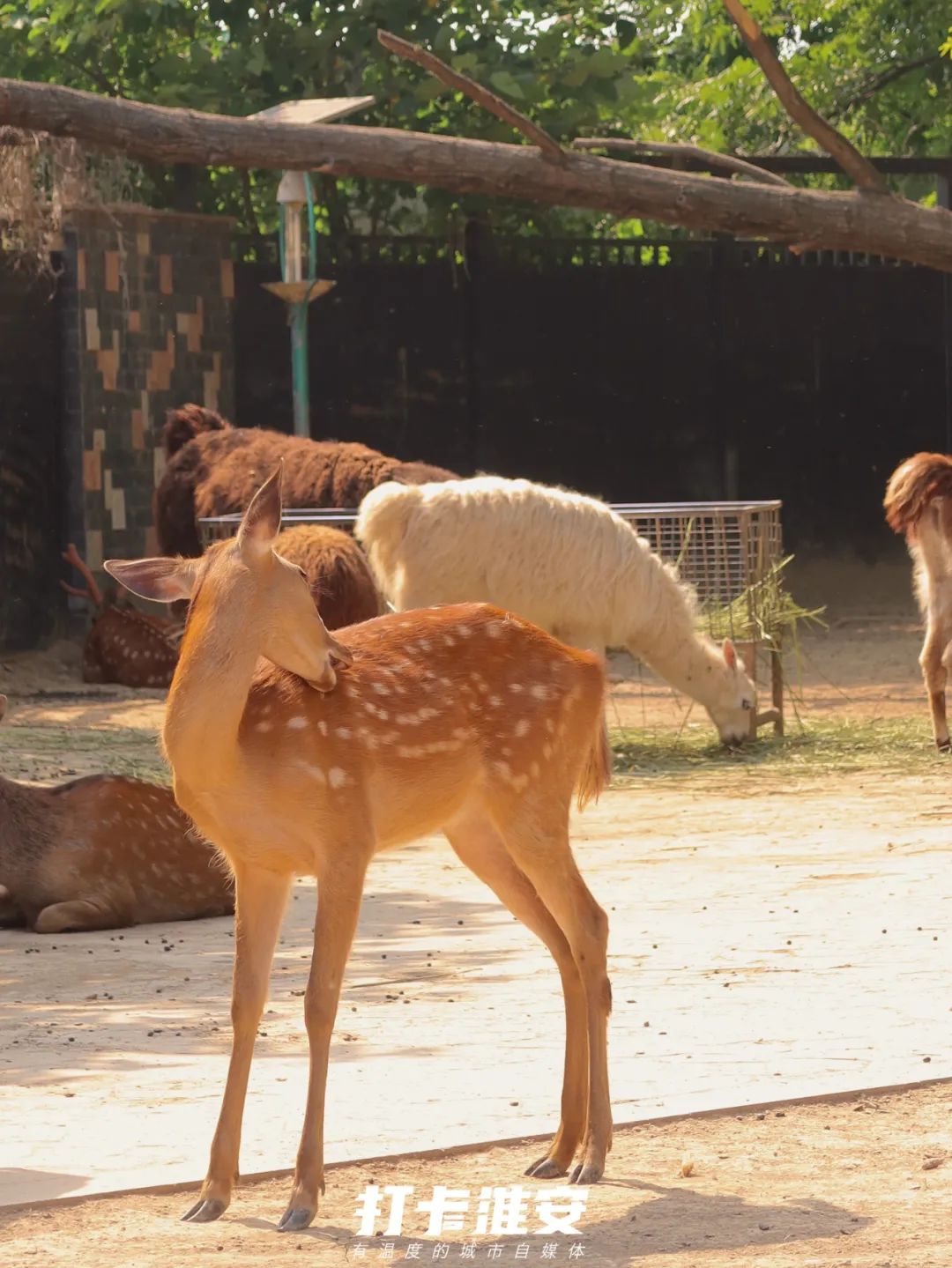 儿童节去儿童乐园,儿童节去公园玩