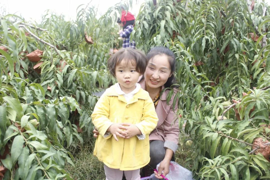 孝昌县农村电商服务站站长,孝昌优秀农村电商站站长名单公示