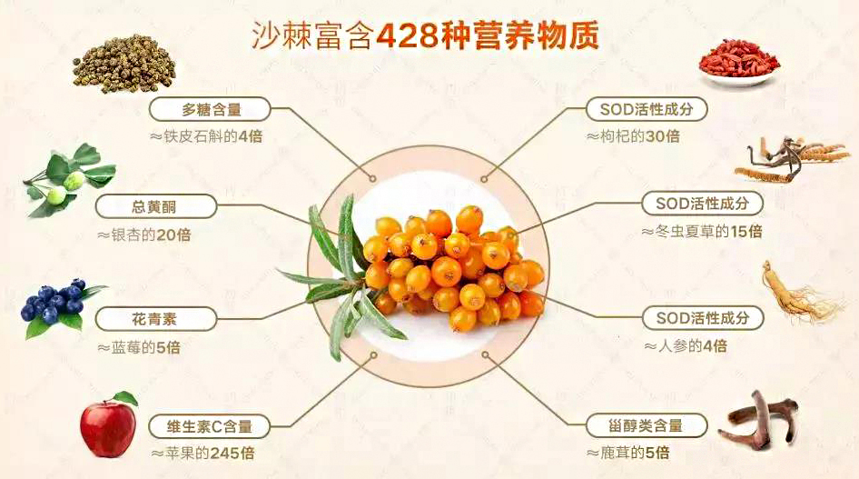 沙棘和沙枣区别,沙棘沙枣区别