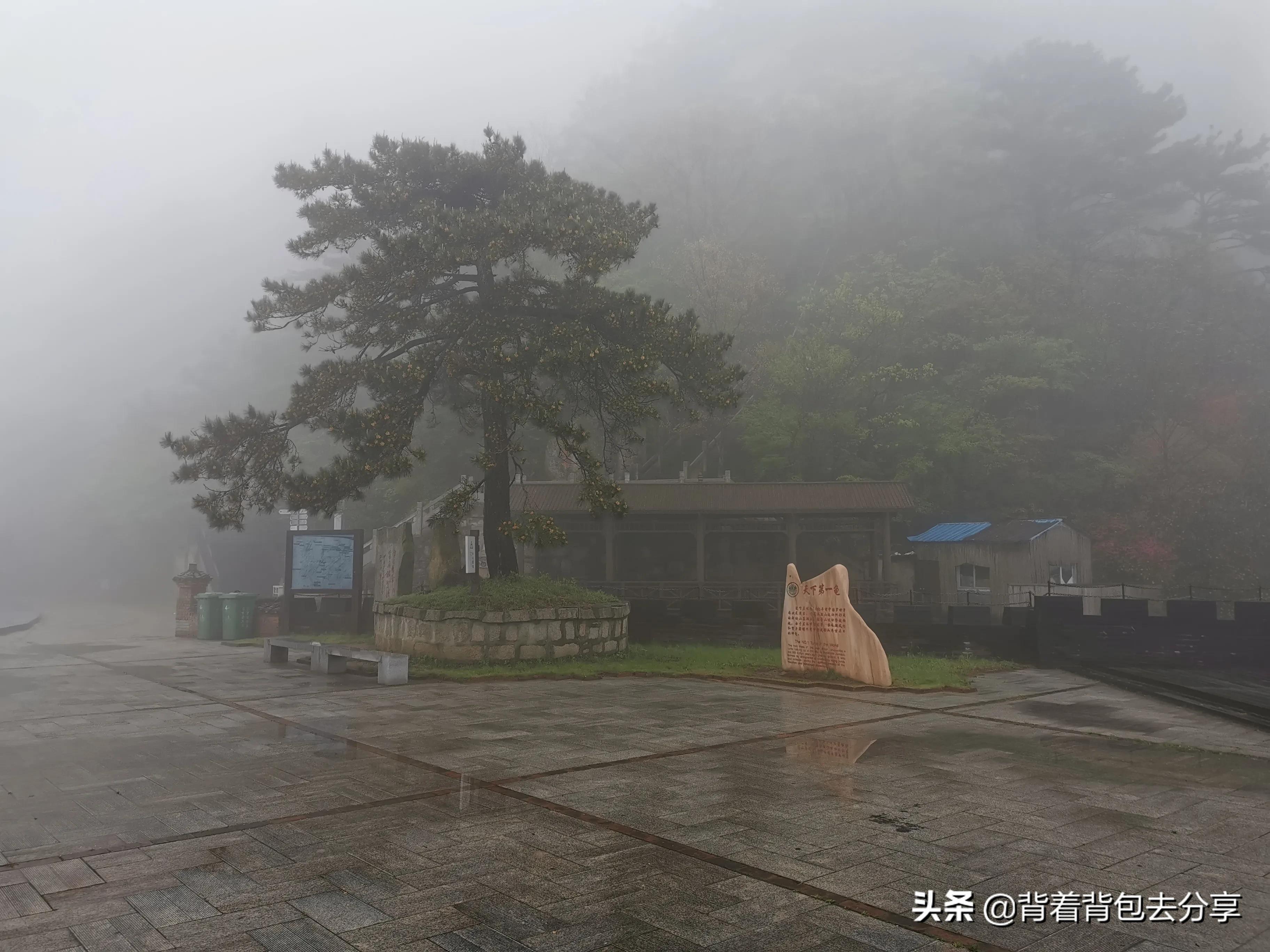 麻城看杜鹃花攻略,去麻城看杜鹃攻略