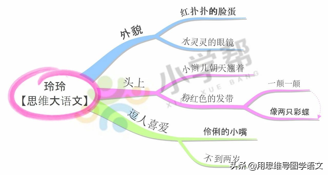 人物外貌描写的好词好句,日积月累写人好句