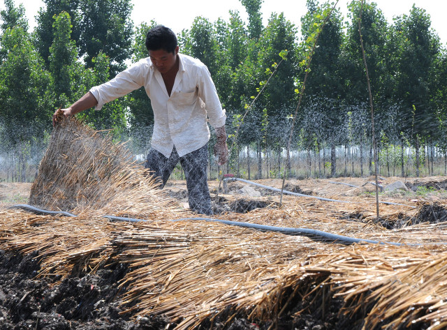 新手创业好项目，特别适合回乡创业者，有你感兴趣的项目吗？