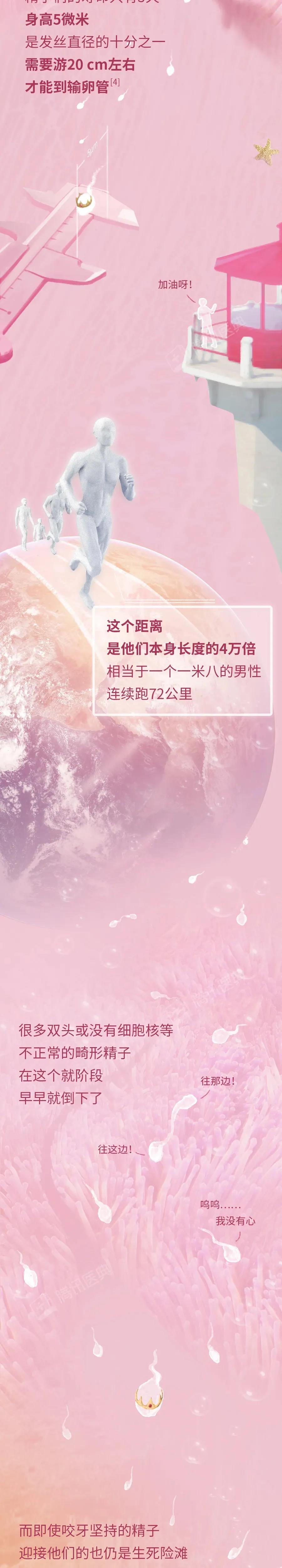 精子与卵子结合孕育生命全过程,精子和卵子孕育的全过程