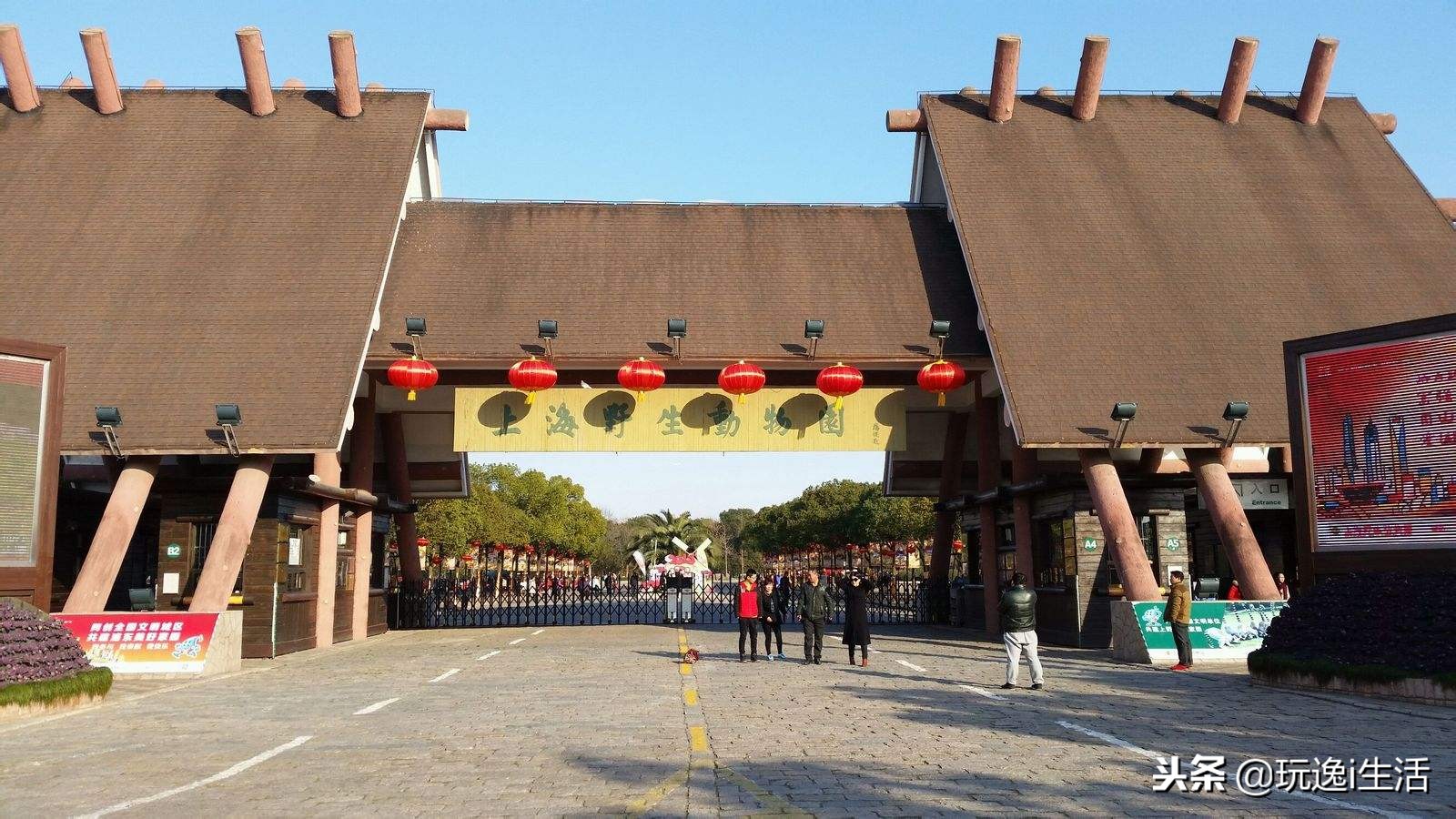 上海市优待证旅游景点,上海市内旅游景点网红