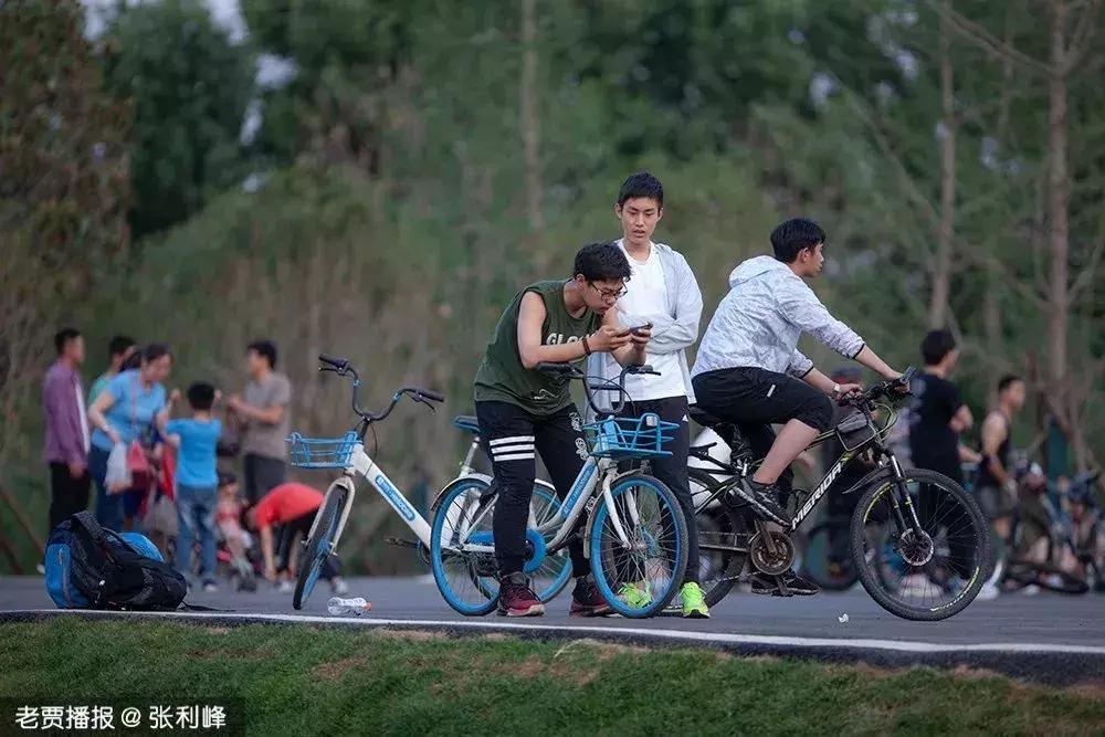 哪个公园好玩又免费又滑滑梯,半圆滑梯攀岩公园