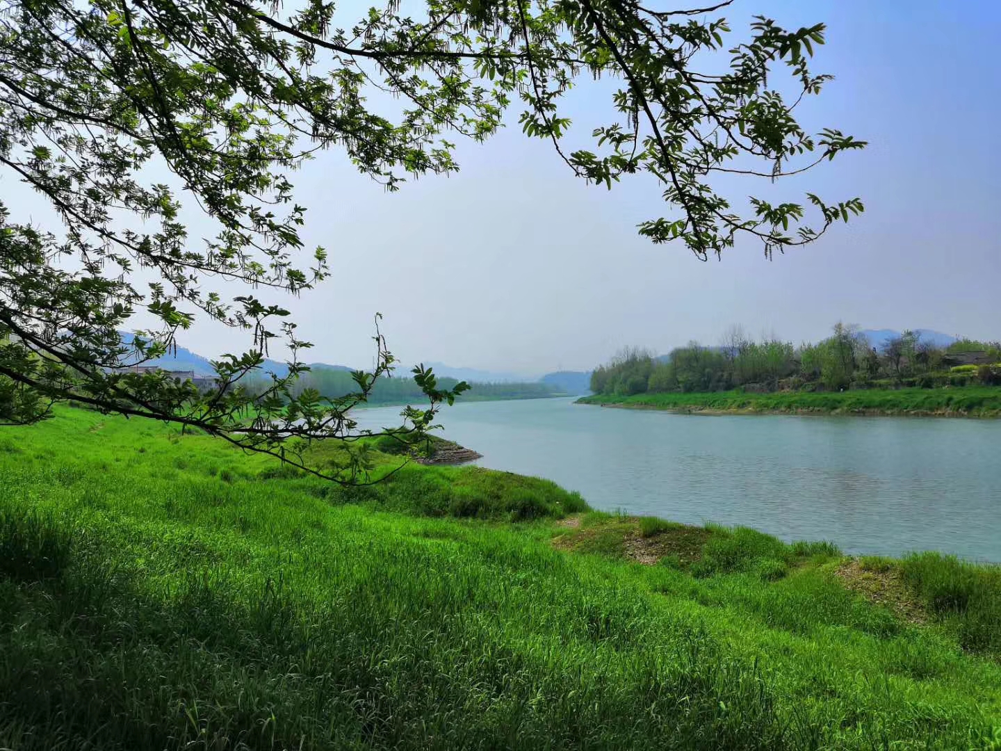 高考英语完形填空答题技巧,高考英语完形填空视频讲解