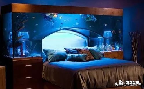 2020养鱼风水,青龙位养鱼风水