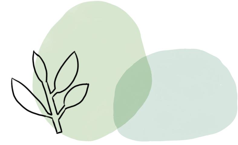 植库‖浪漫清新的小手球，为你带来氧气小森林