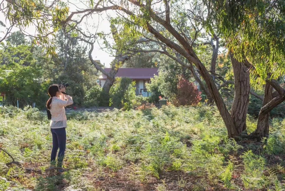 悉尼到阿德莱德自驾游,澳大利亚阿德莱德悉尼距离