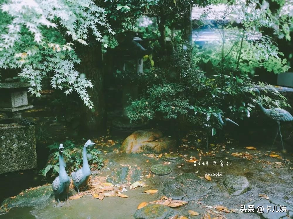 高岡：一座不食人间烟火的城市