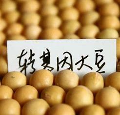 你可能不知道的肯德基真相,肯德基有哪些很少人知道的东西