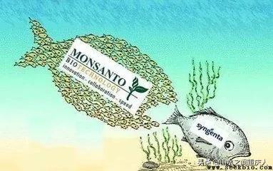 DDT、橙剂、转基因：生态环境摧毁者—孟山都