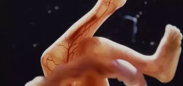 孕期护肤知识讲解,孕期护肤圣经