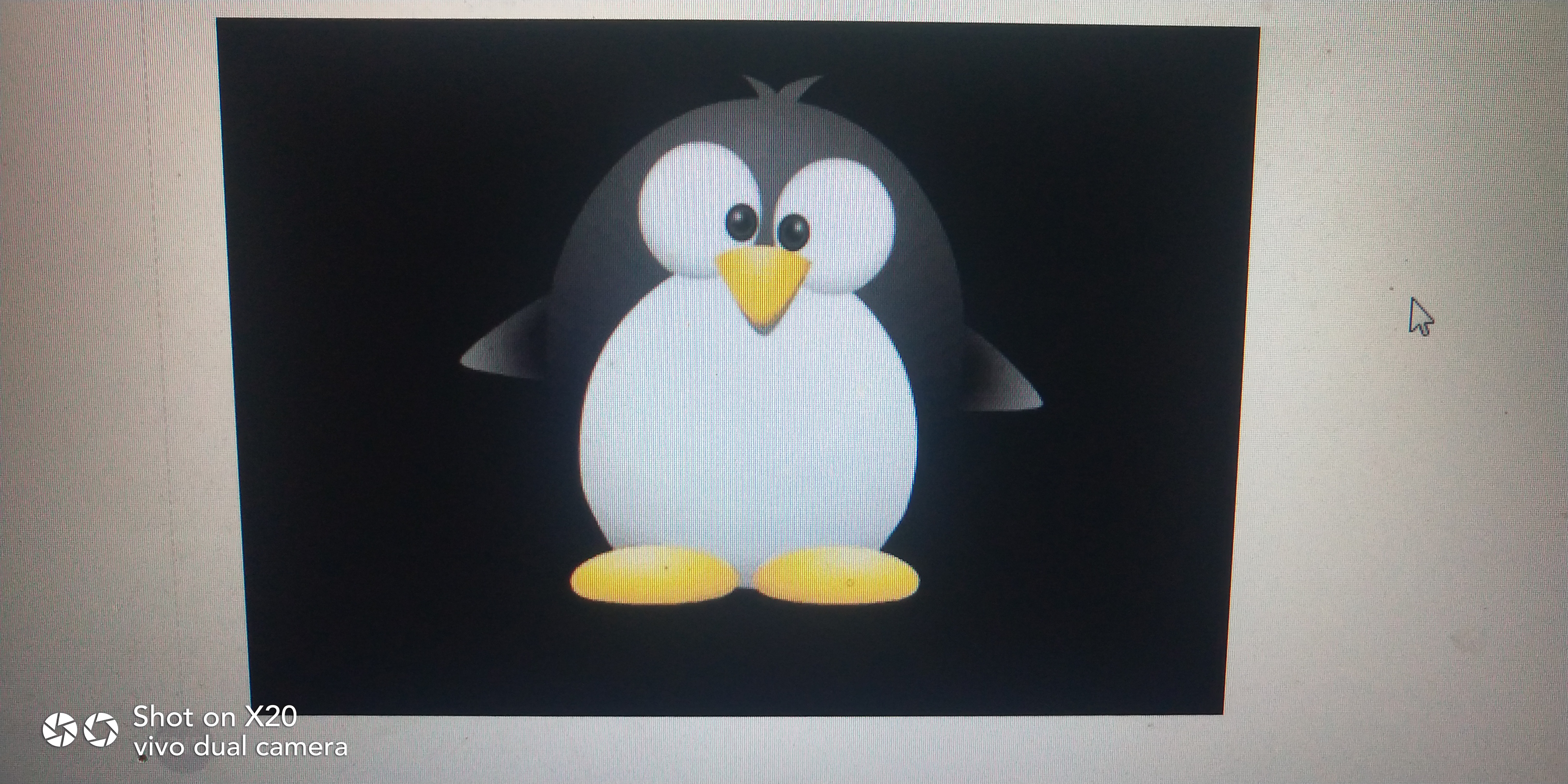 自媒体平台一般发什么视频,自媒体哪个平台比较好