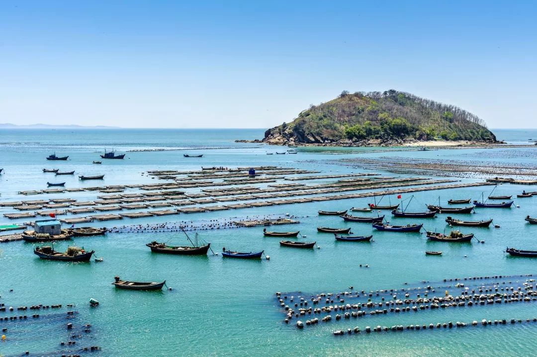 美过三亚浪漫过厦门的海滨老城,青岛和厦门海边哪个值得去旅游