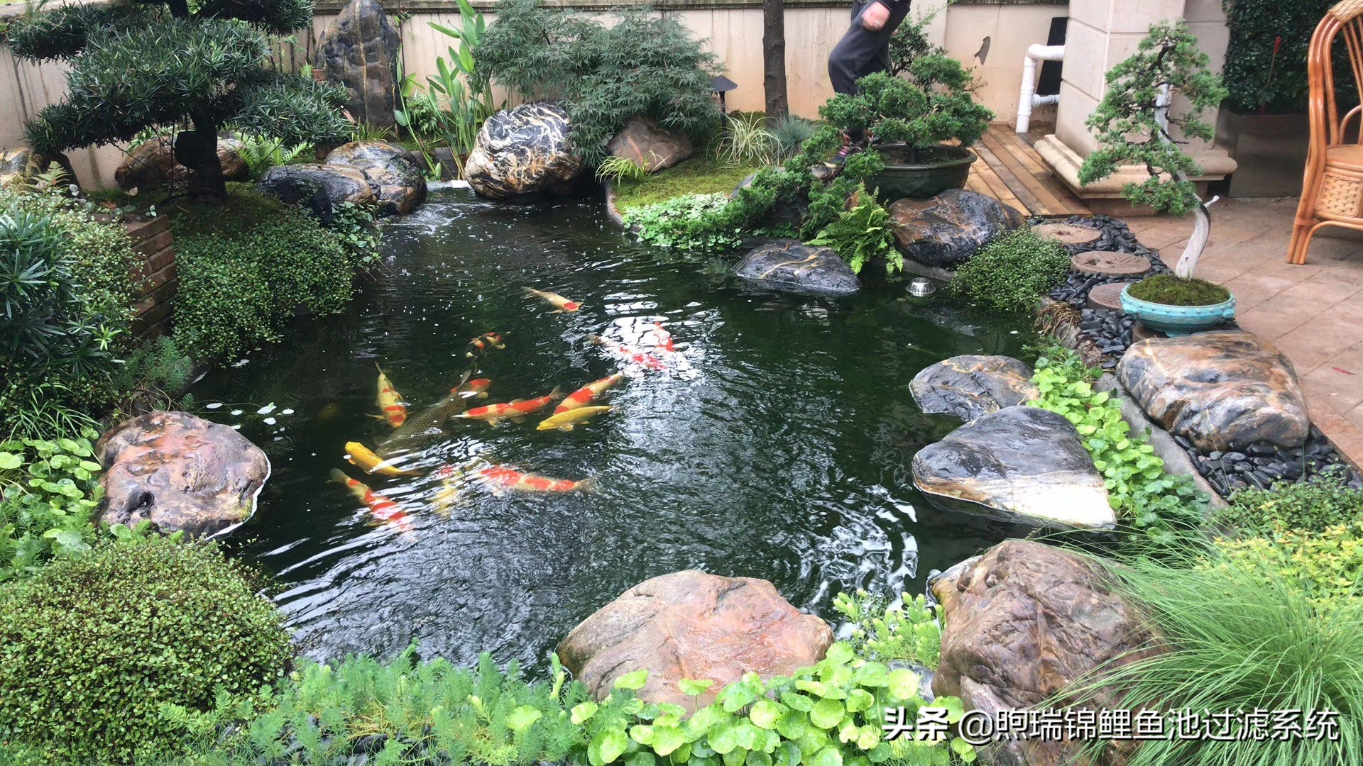 一个强大的过滤系统,一个过滤系统带多个鱼缸