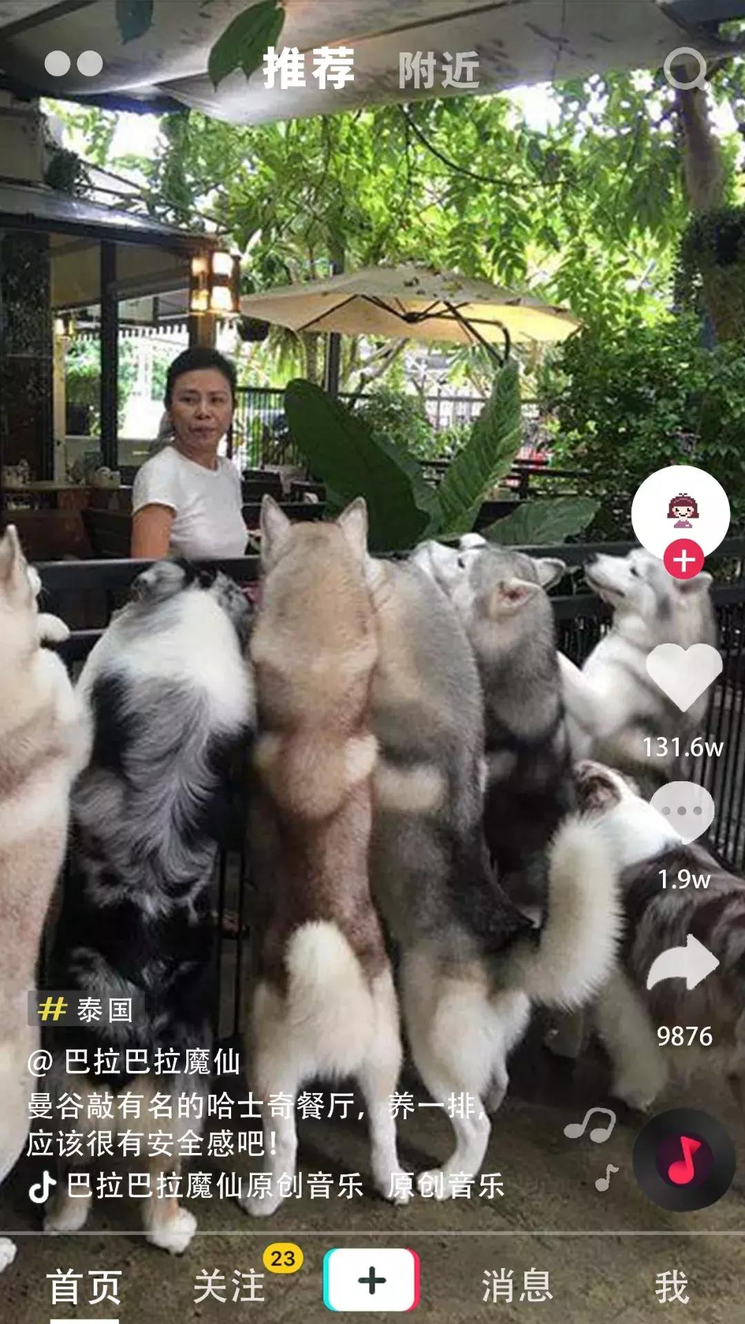 抖音热大批游客挤爆泰国一景点,泰国抖音十大网红景点